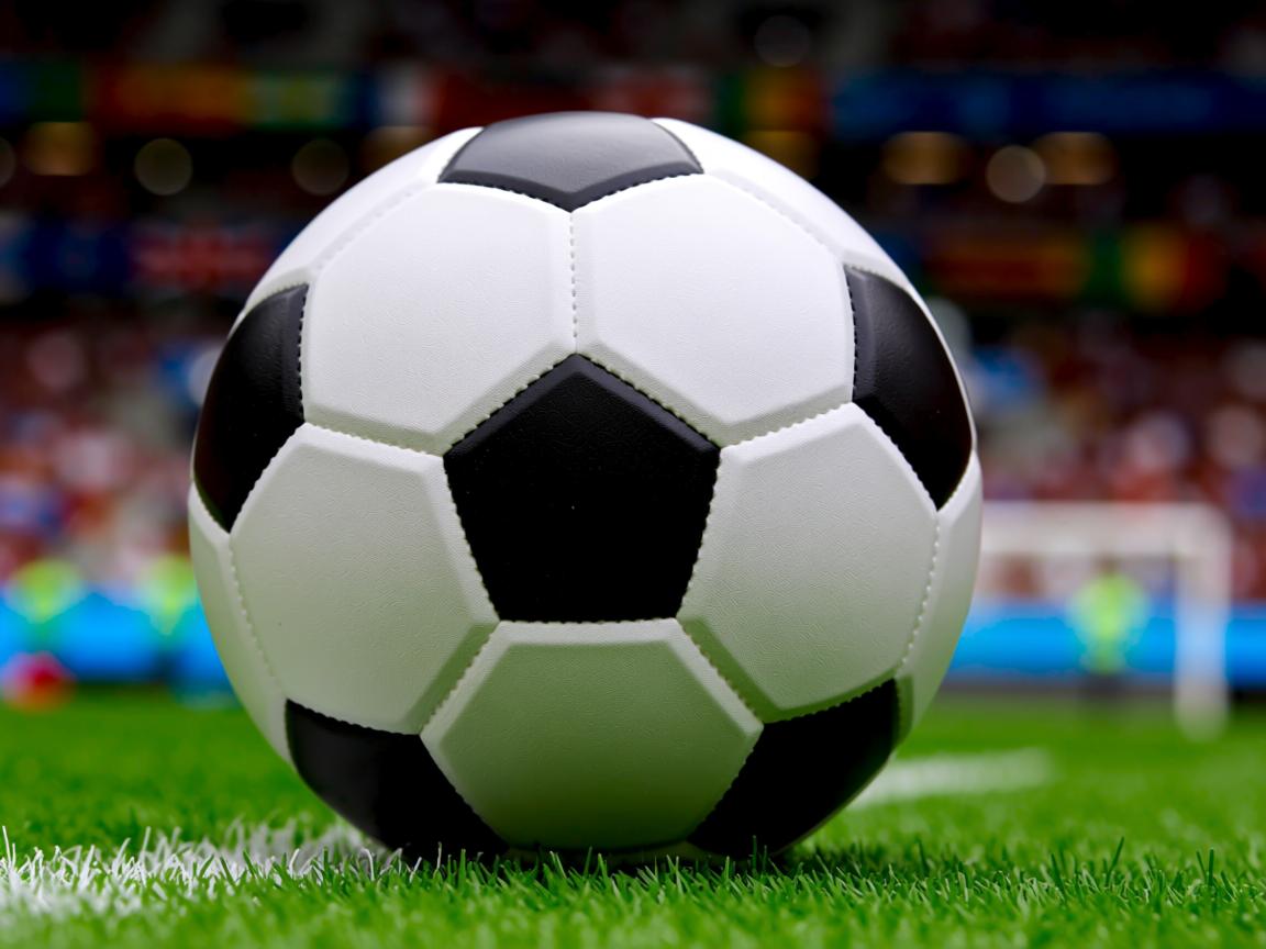 九游网页官网-“拳击狂潮席卷四川，谁能脱颖而出？”  第3张